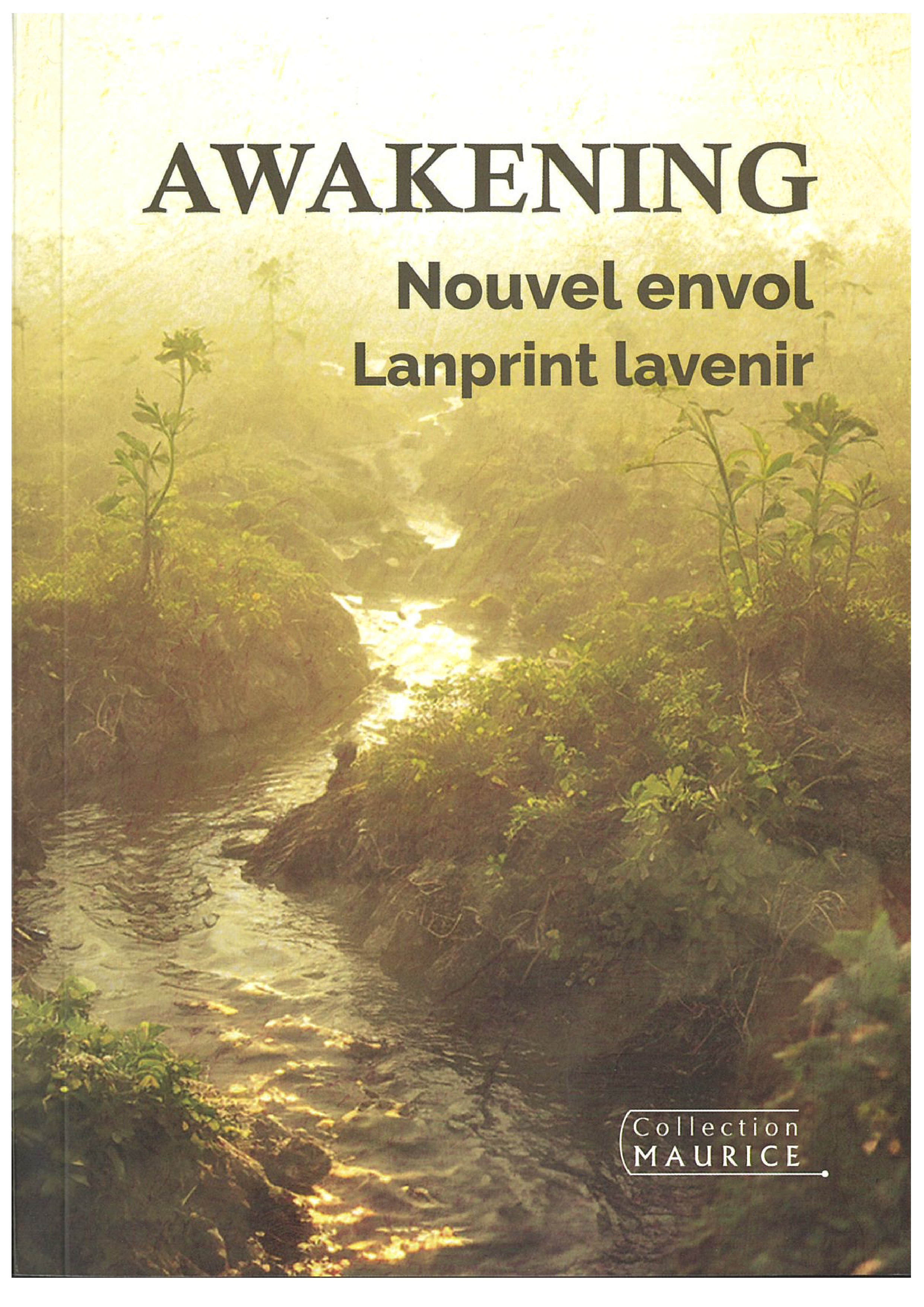 Awakening - Nouvel Envol - Lanprint Lavenir - Rama Poonoosamy